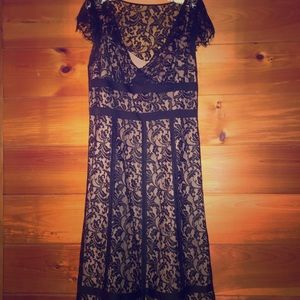 White House black market black lace dress